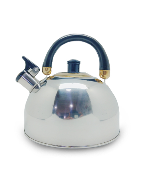 Earth Star Stainless Steel 2.5L Whistling Kettle