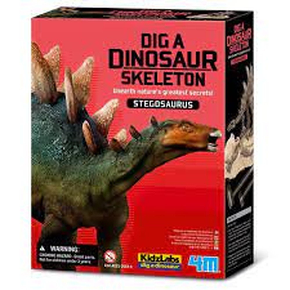 4M Dig A Dinosaur Skeleton/Stegosaurus